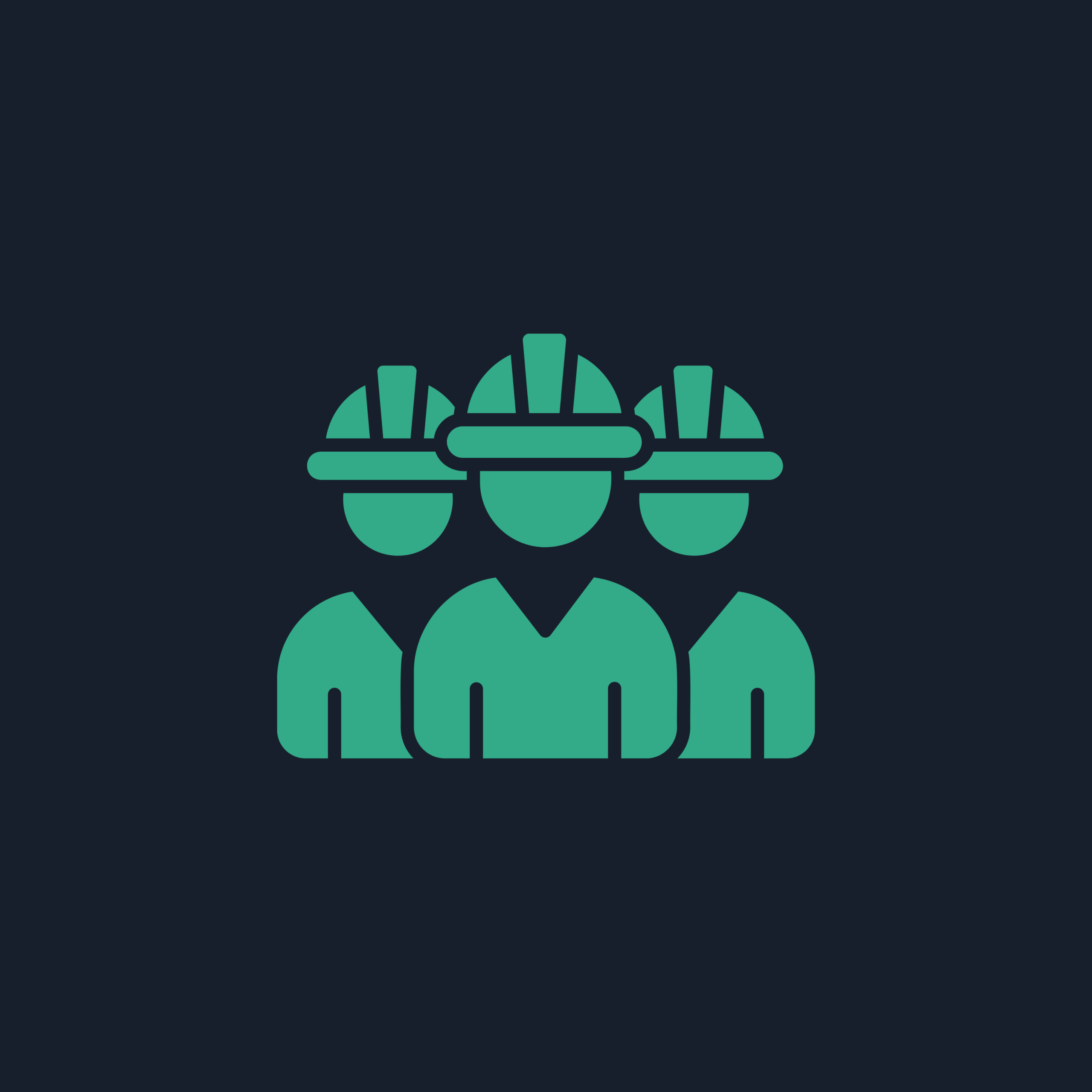 built-image